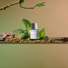 Dossier Woody Oakmoss packaging highlighting Grasse-inspired luxury