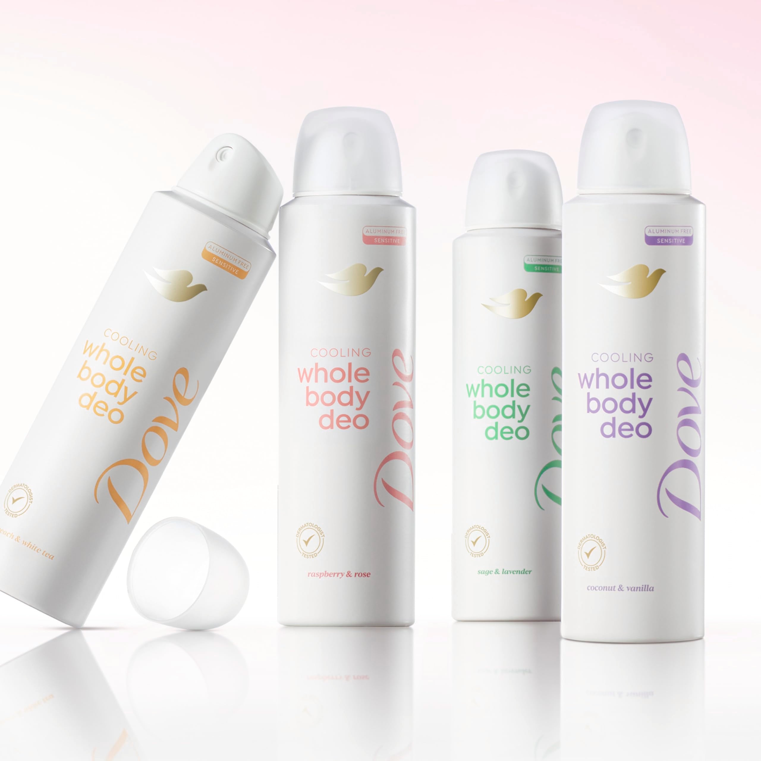 Dove desodorante corporal en spray fragancia Frambuesa y Rosa fresca