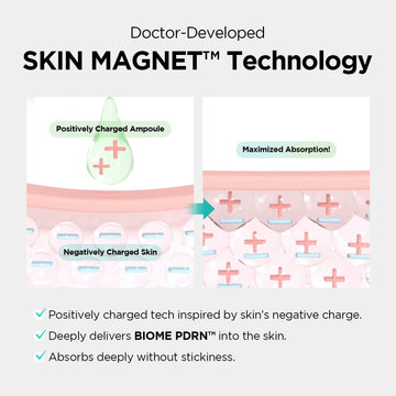 Dr.nineteen ReDRN Exosome Ampoule ingrediente Biome PDRN de alta pureza para elasticidad.