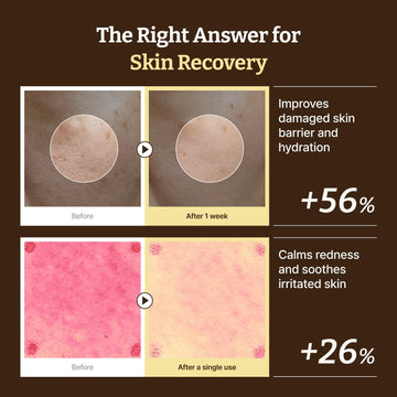 Dr. Reju-All aplicación crema manos, aplicación suave y rápida absorción