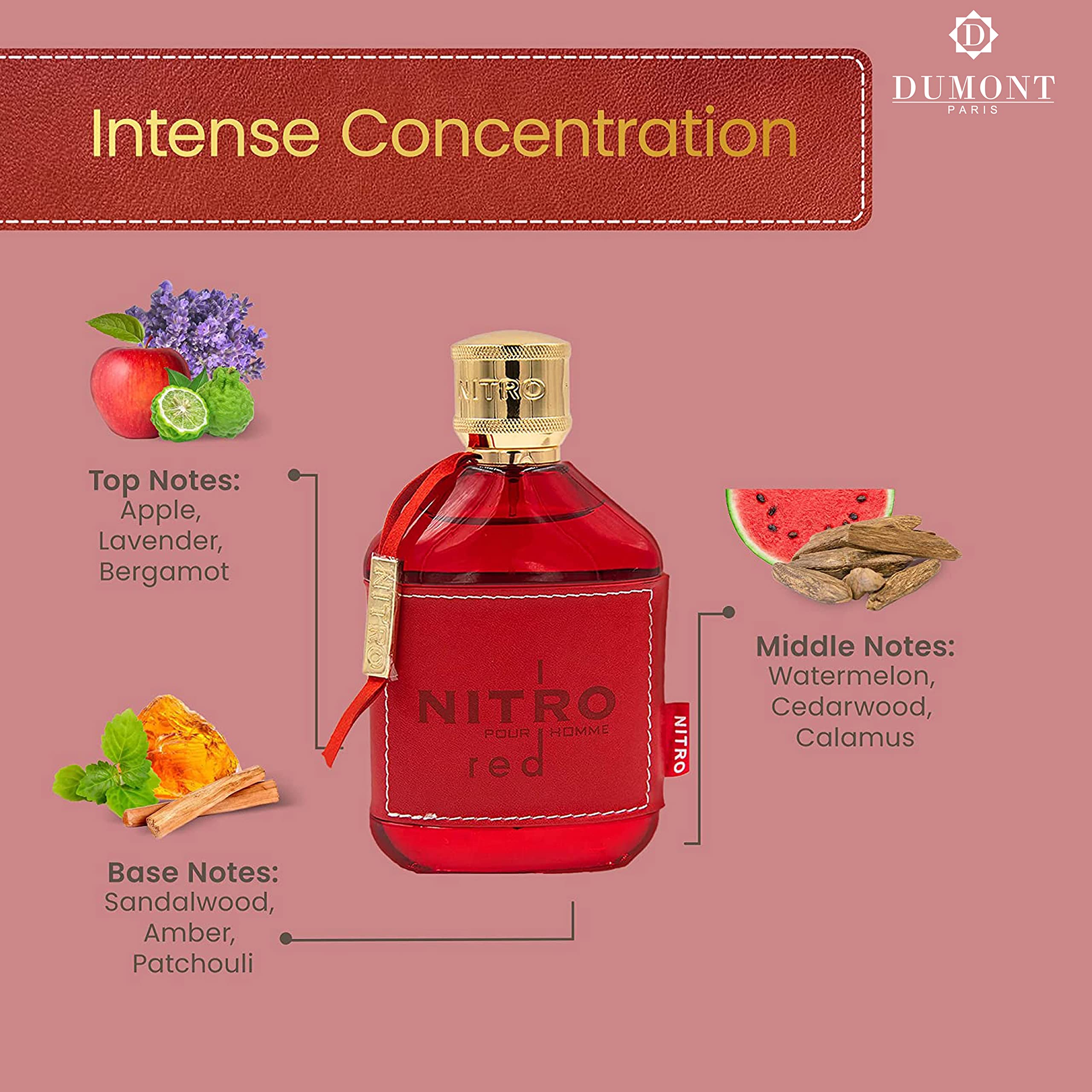 Dumont NITRO RED, notas olfativas destacadas para uso versátil.