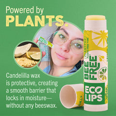 Eco Lips pack vegan sin plastico, uso diario práctico