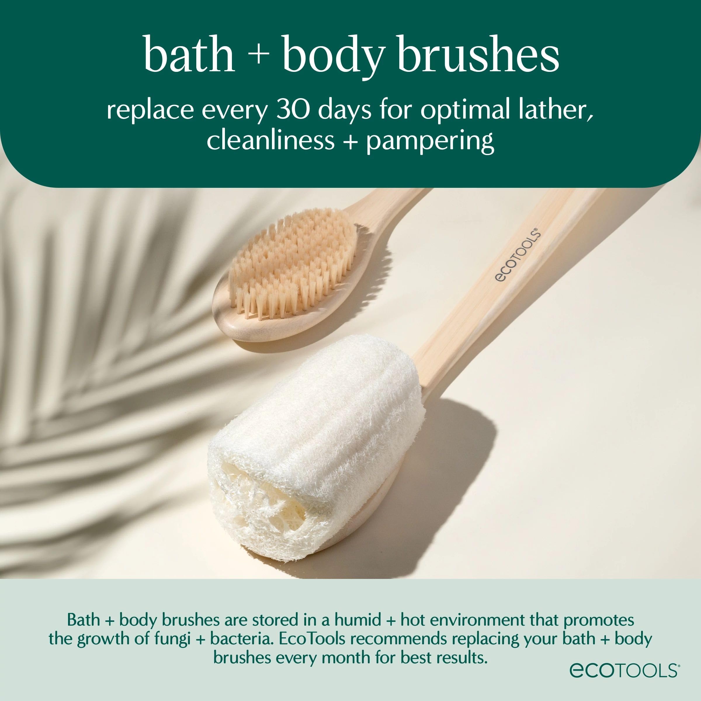 Cepillo compacto EcoTools ideal para viajar y exfoliar.