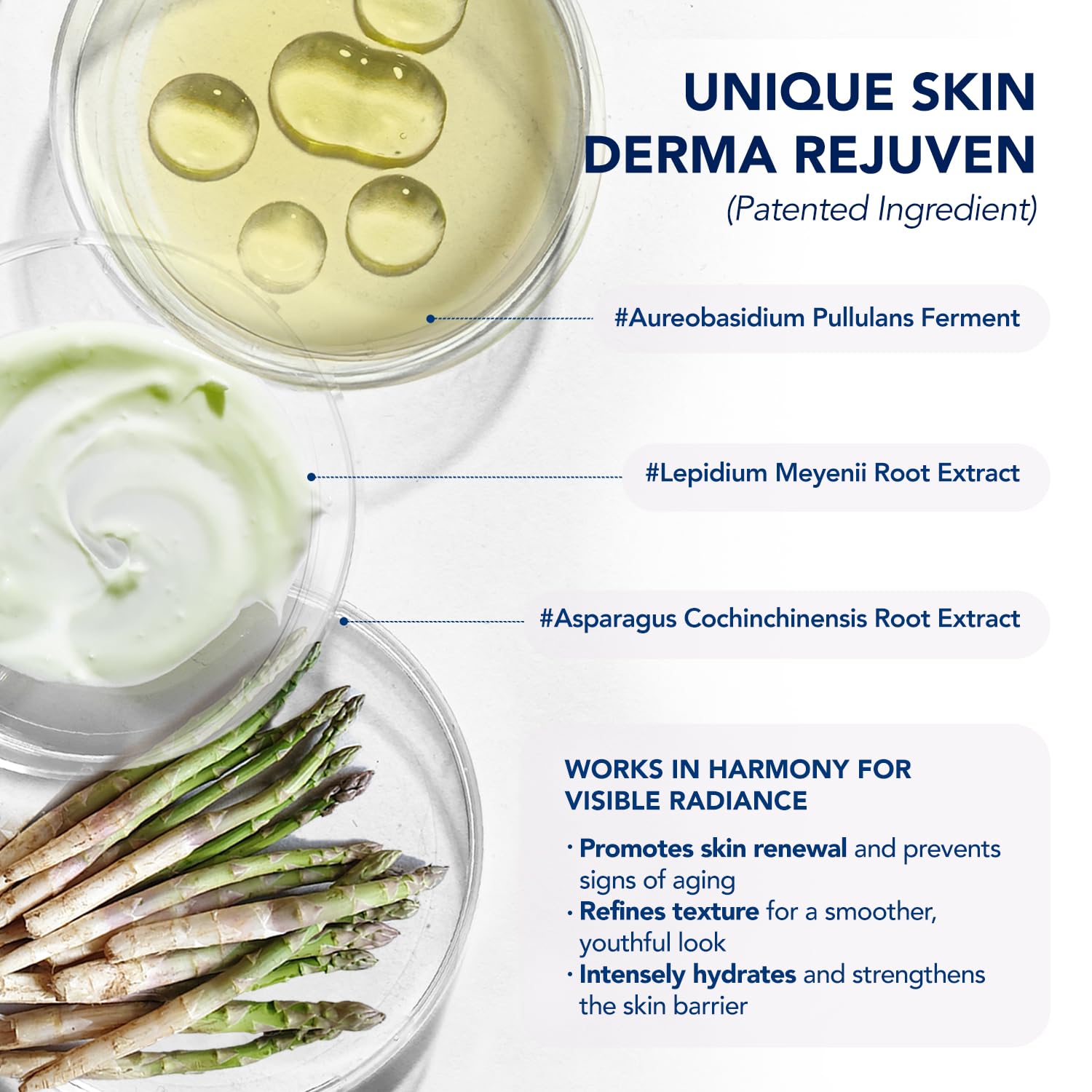 ElySeoul crema cuello ingredientes clave: destaca compuestos naturales para regeneración suave.
