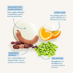 Protección de color de Enjoy: fórmula suave para cabellos teñidos.