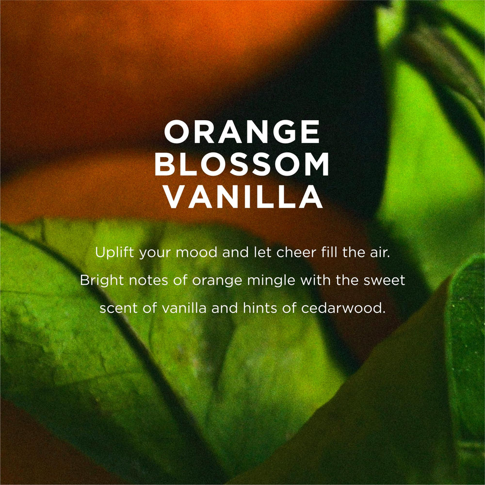 Formule botanique riche en beurres et huiles pour nourrir la peau.