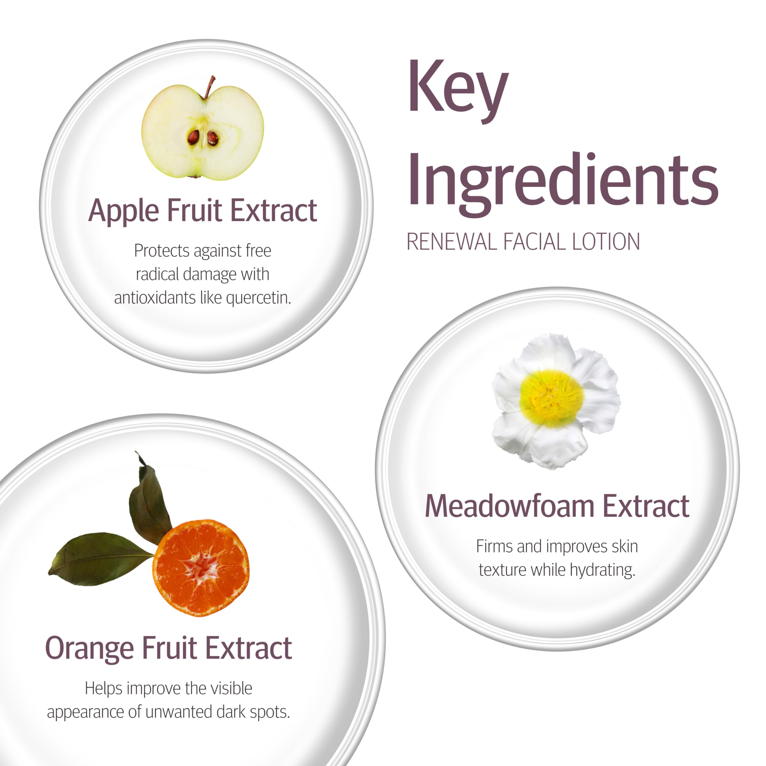 Epionce Loción Renovación para piel normal a mixta.