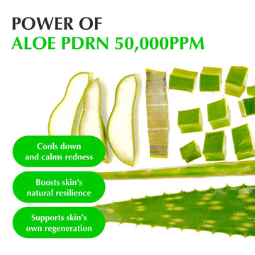 Reparación suave de la piel gracias a EQQUALBERRY Aloe PDRN.