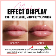 Erinde Lip Plumper Gloss con aplicador suave para uso diario cómodo.