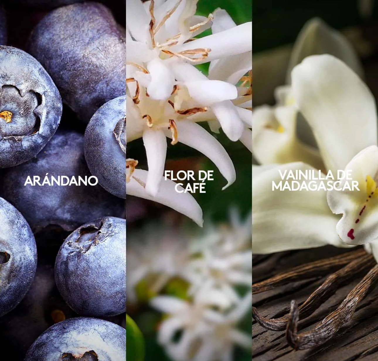 ESIKA Vibranza diseño-envase, frasco sofisticado para uso diario.