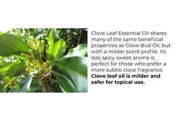 Essentially KateS uso en jardinería aroma protector del jardín