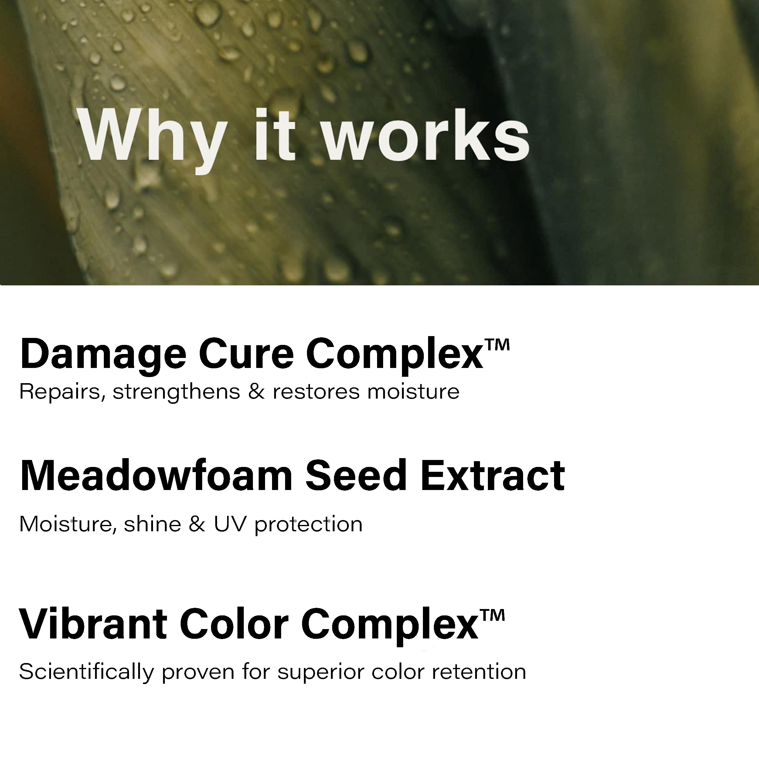 Eufora Beautifying Elixirs Bodifying Shampoo formula-sin-sulfatos: cuidado suave para cabello teñido.