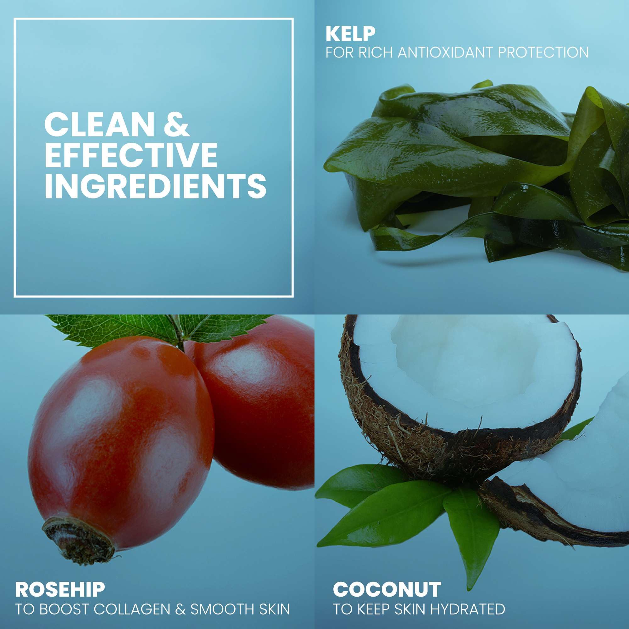 Aloe y kelp en Eva Naturals cuidan la barrera cutánea