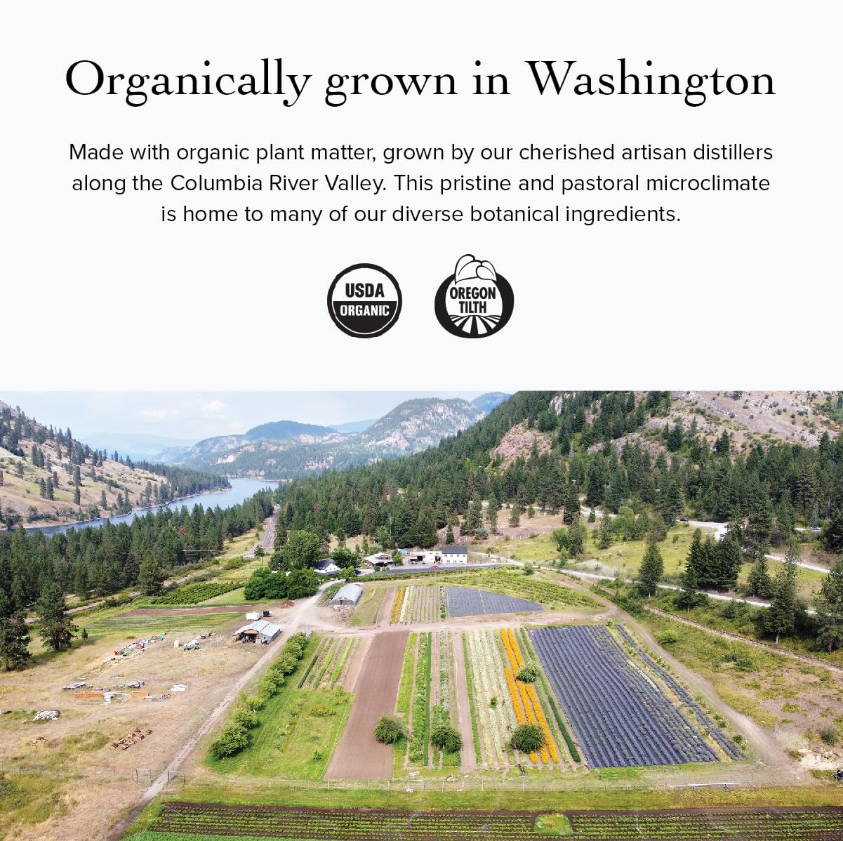 Arôme rose-geranium Evanhealy — parfum subtil pour une expérience spa à domicile