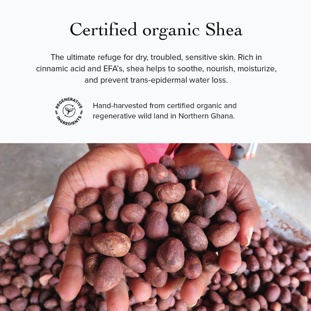 evanhealy baume yeux format voyage de 15 ml pour sac à main