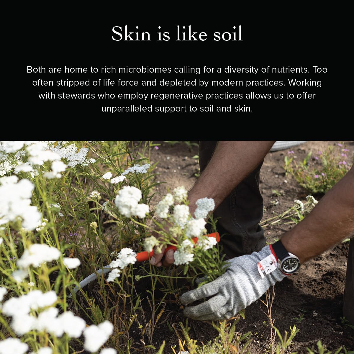 evanhealy rituel quotidien hydratant autour des yeux et du visage