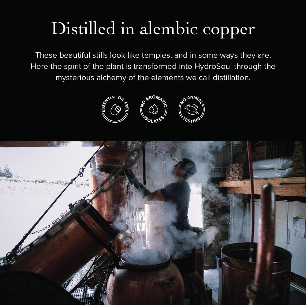 Tonique visage quotidien Evanhealy — étape simple pour équilibre cutané