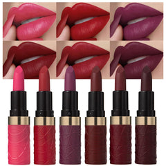evpct labiales mate 6 piezas: estuche compacto para uso diario