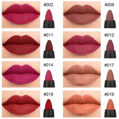 evpct matte lipstick swatch display, showing rich color range for everyday looks.