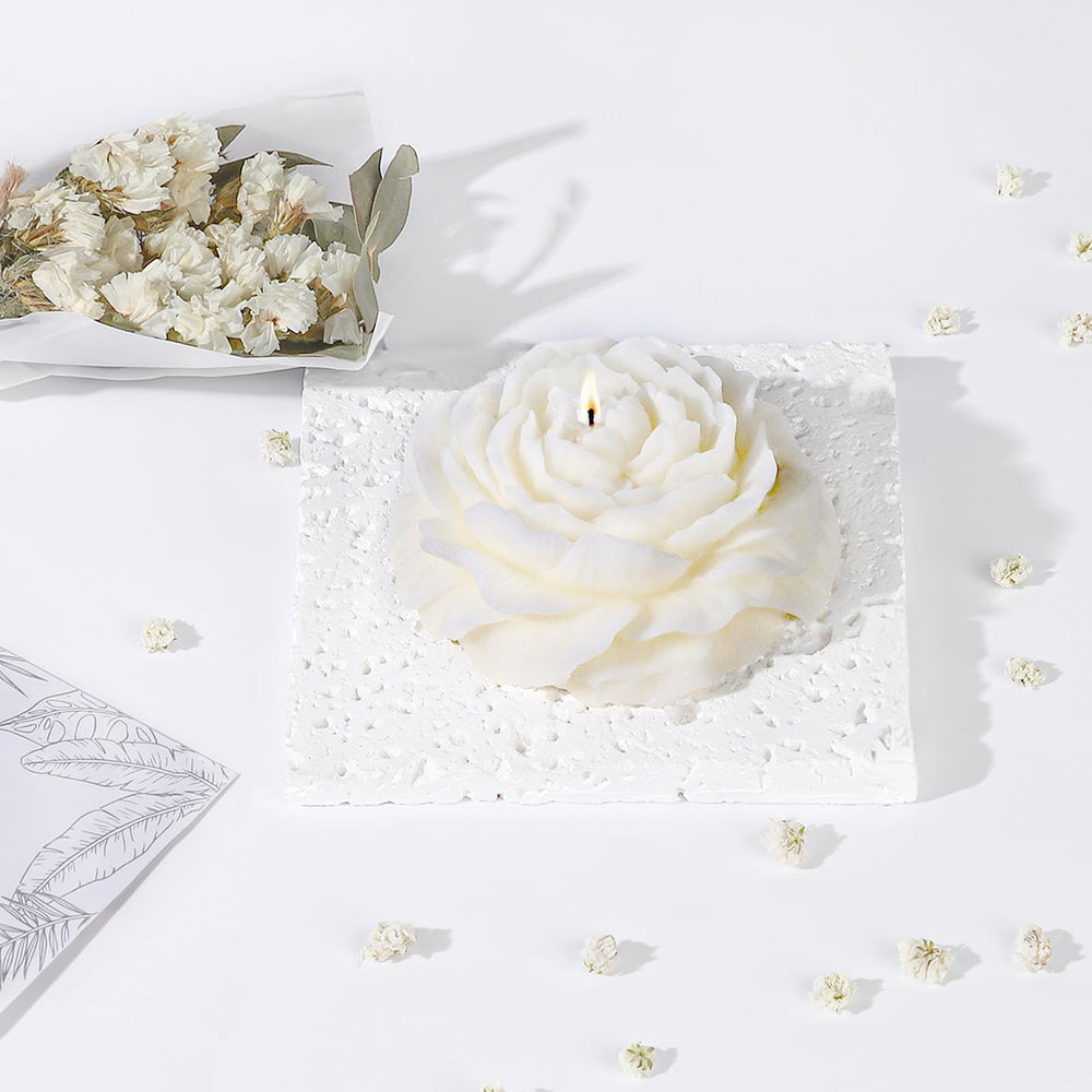 EXTALOW set spa coco lavanda presentado en caja completa