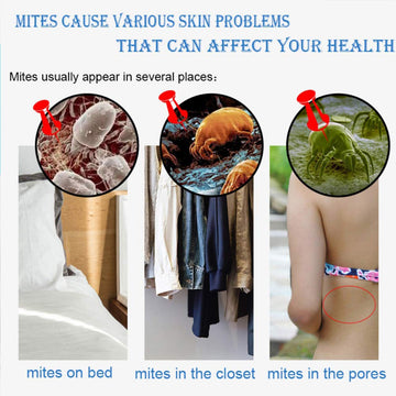 Fabussa para manos y rostro: hidratación suave gracias a la leche de cabra.