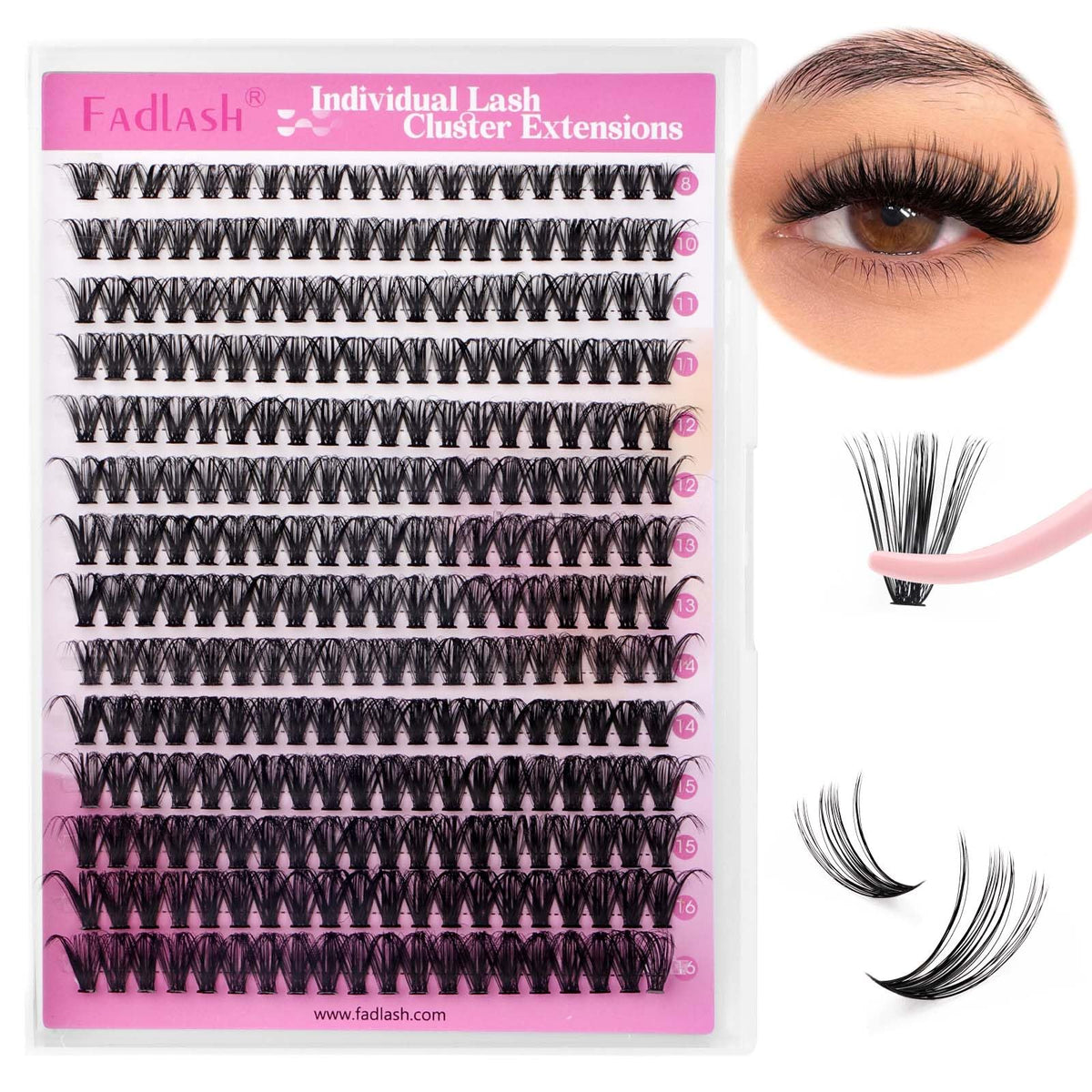 FADLASH clústeres curva D natural para una mirada más abierta.