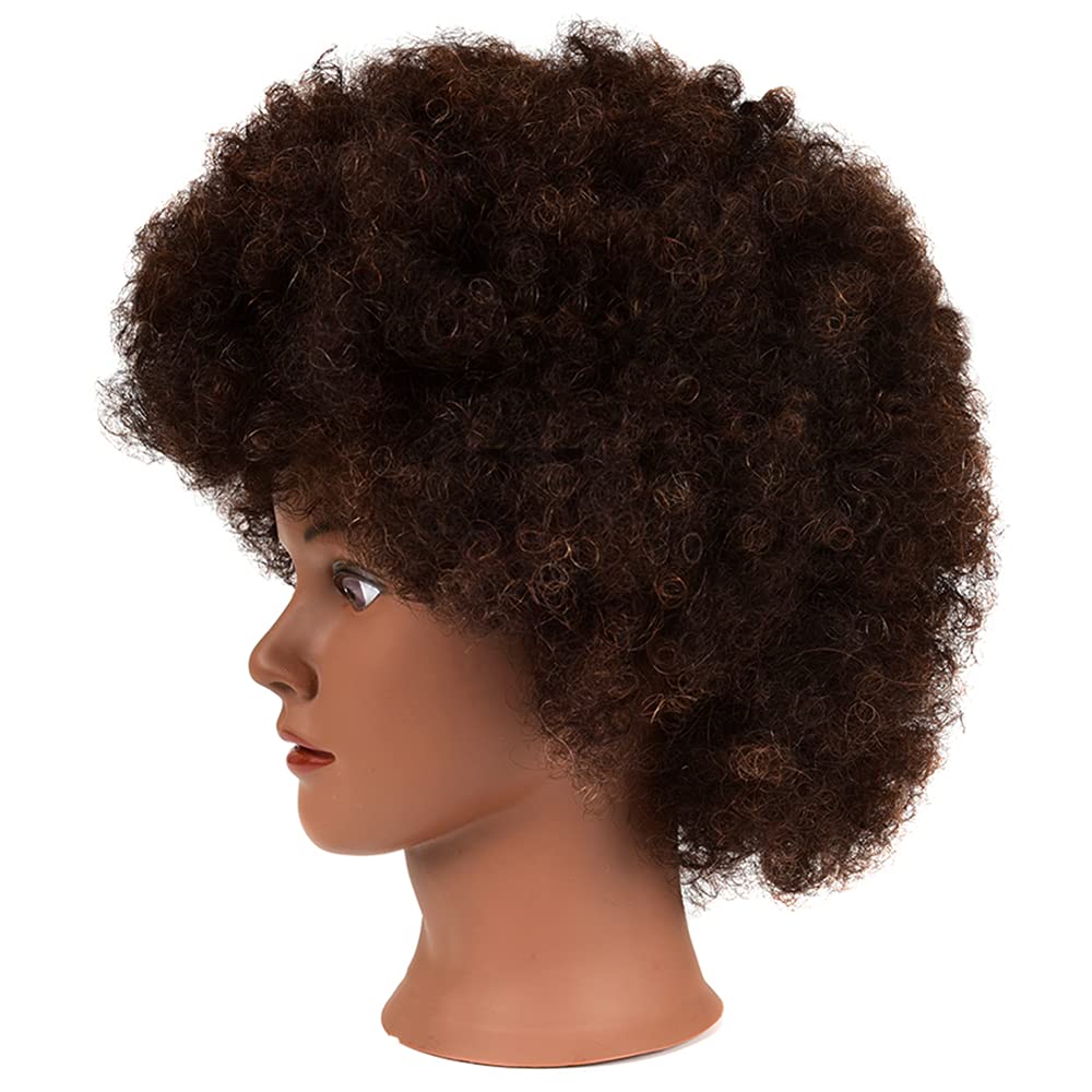 FASHION COLOR CARE: cabello humano natural marrón oscuro en cabeza de maniquí para coloración