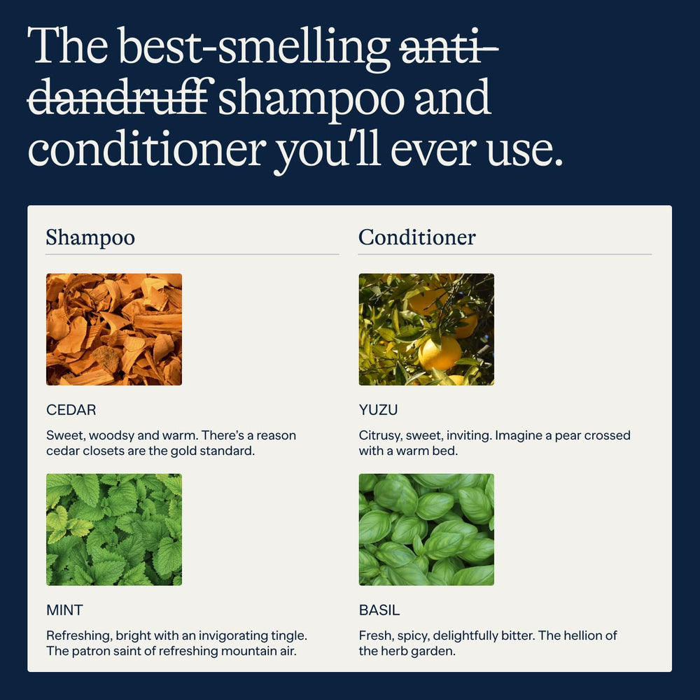 Flakes set anticaspa para hombres con envase práctico.