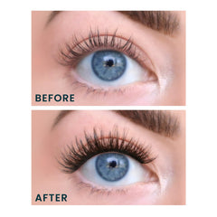 FlutterHabit Water Lily Lash Clusters: conjunto de pestañas alineado para una mirada definida.