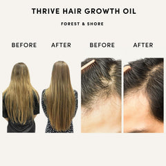 Forest & Shore: primer plano de cabello hidratado por el aceite nutritivo.