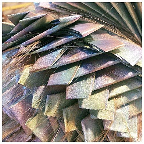 Framar Ethereal – organisation efficace sur le poste de coloration