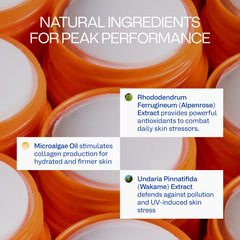 Freaks of Nature Peak Performance Sun Stick SPF 50, hidratación para el microbioma de la piel.