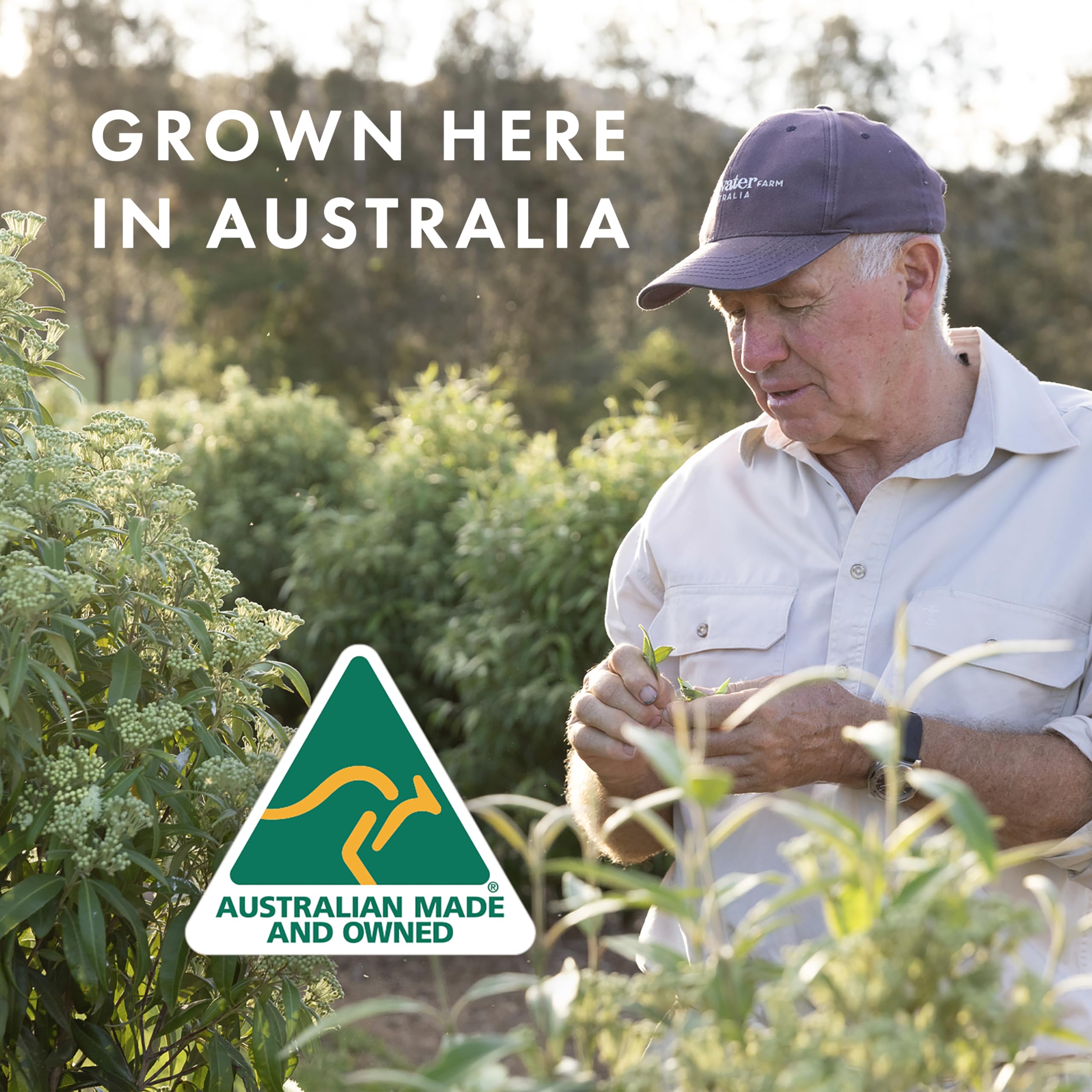 Freshwater Farm Australia aroma cítrico limón-myrtle para un despertar sensorial.