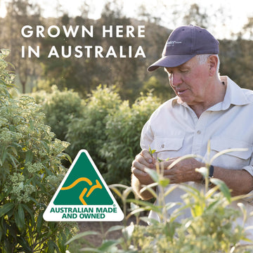 Freshwater Farm Australia aroma cítrico limón-myrtle para un despertar sensorial.