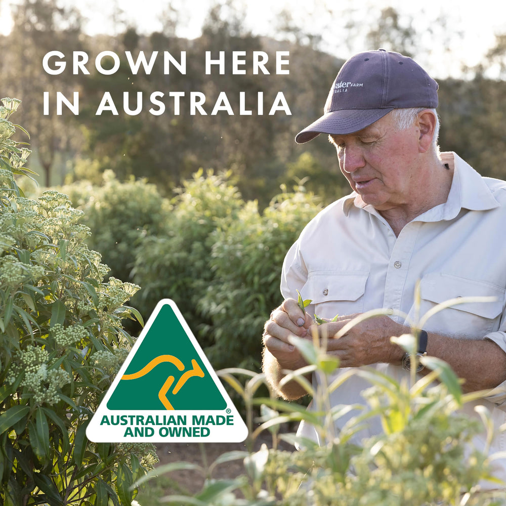 Freshwater Farm Australia aroma cítrico limón-myrtle para un despertar sensorial.