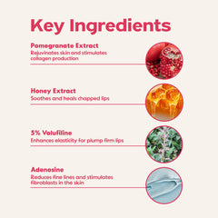 FRUDIA bálsamo labial granada miel – aplicación suave para labios secos.