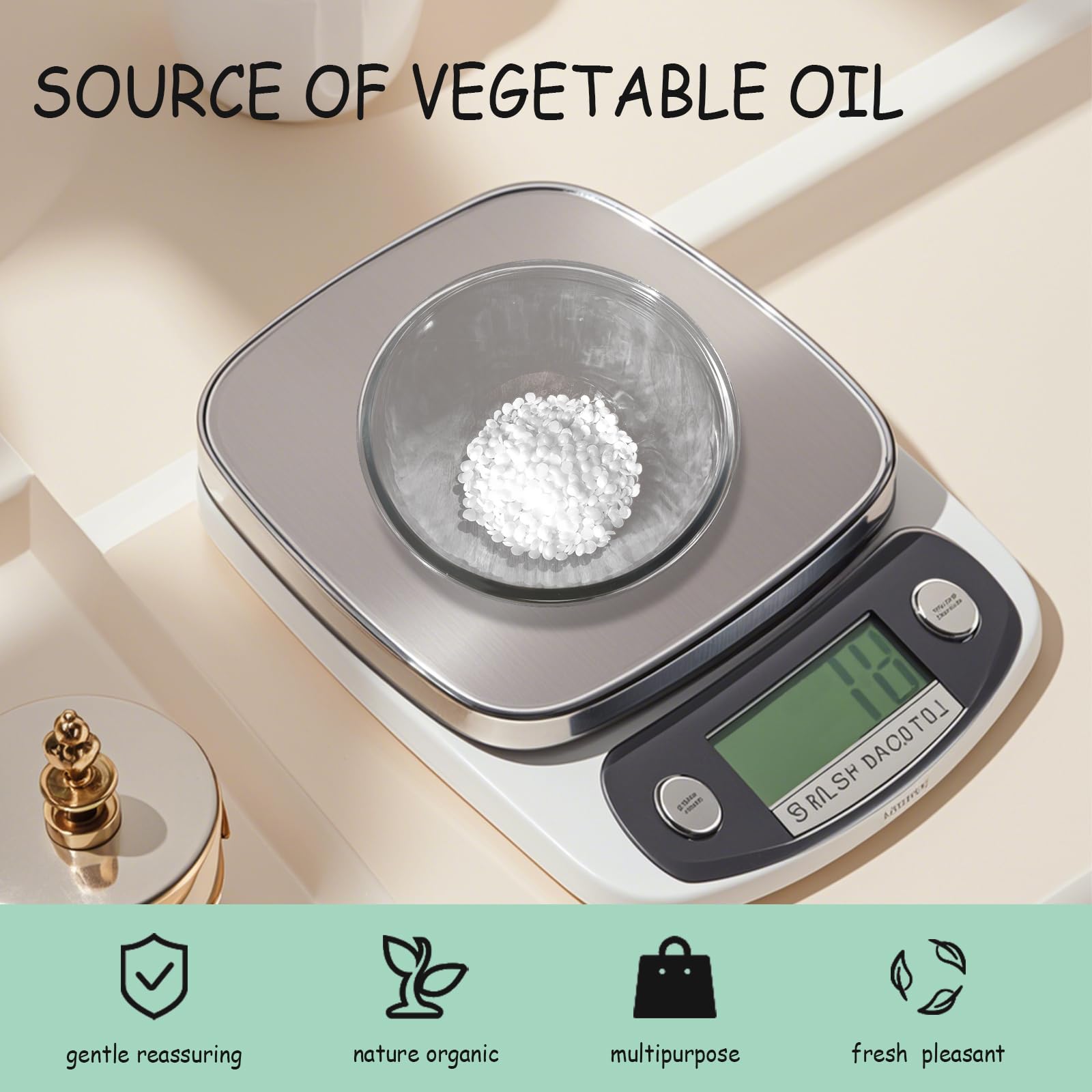 FSbbTaibanle BTMS50, envase reutilizable con cierre hermético para conservación