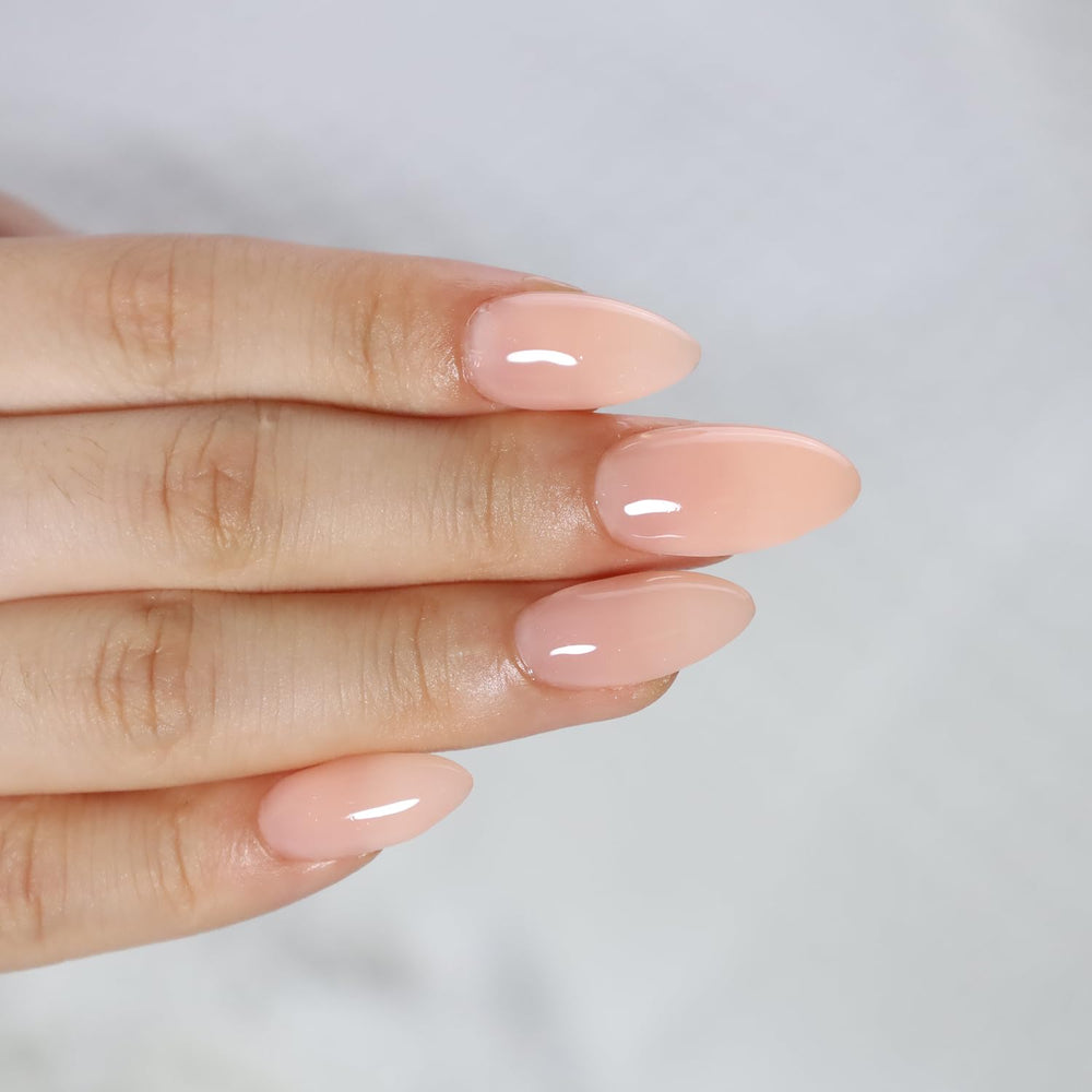 FZANEST Sellante de acabado gel para protección