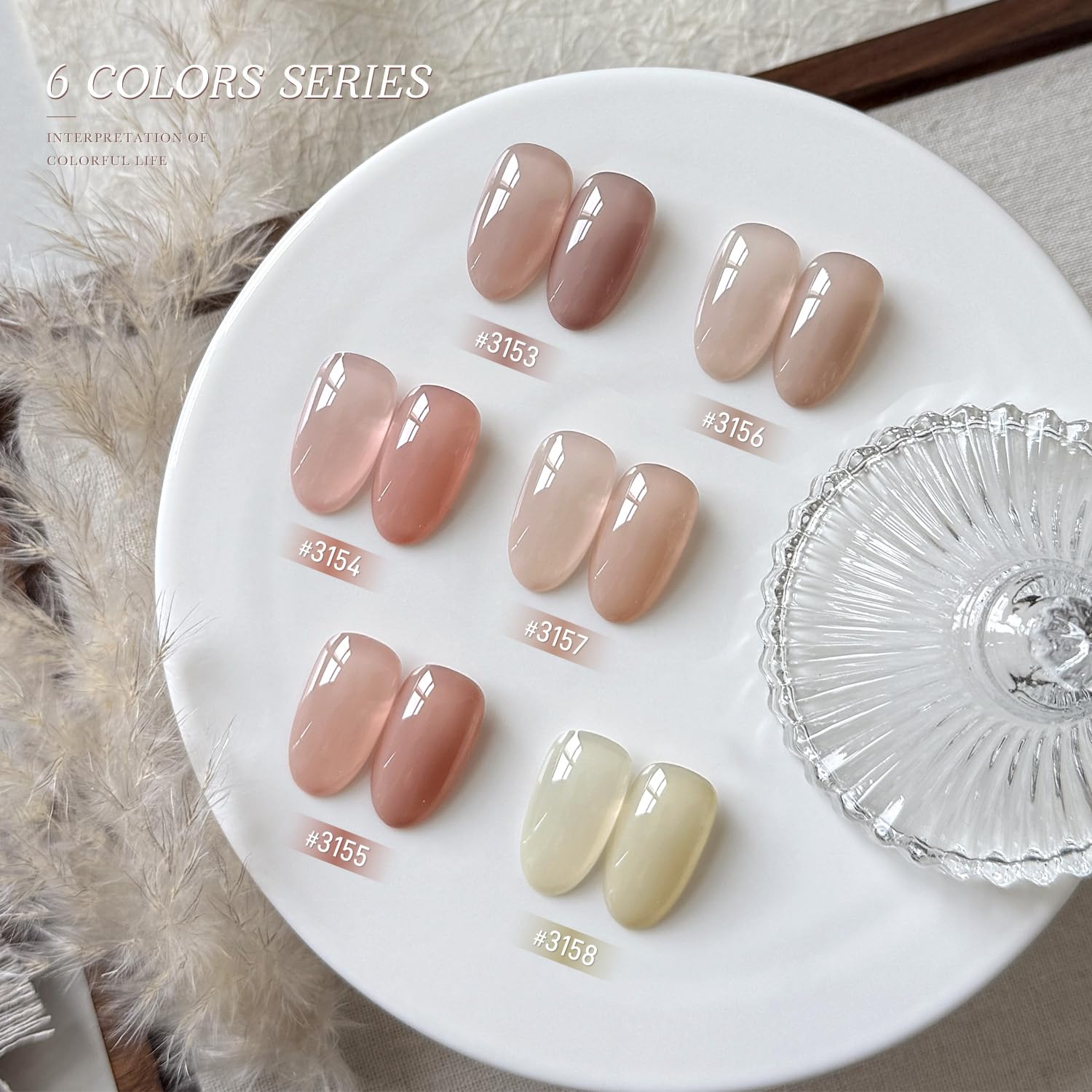 GAOY set de esmalte gel translúcido en elegante empaque para regalo