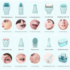 Gdbanlimi Derma Roller 10 en 1, cabezales intercambiables para diferentes usos.