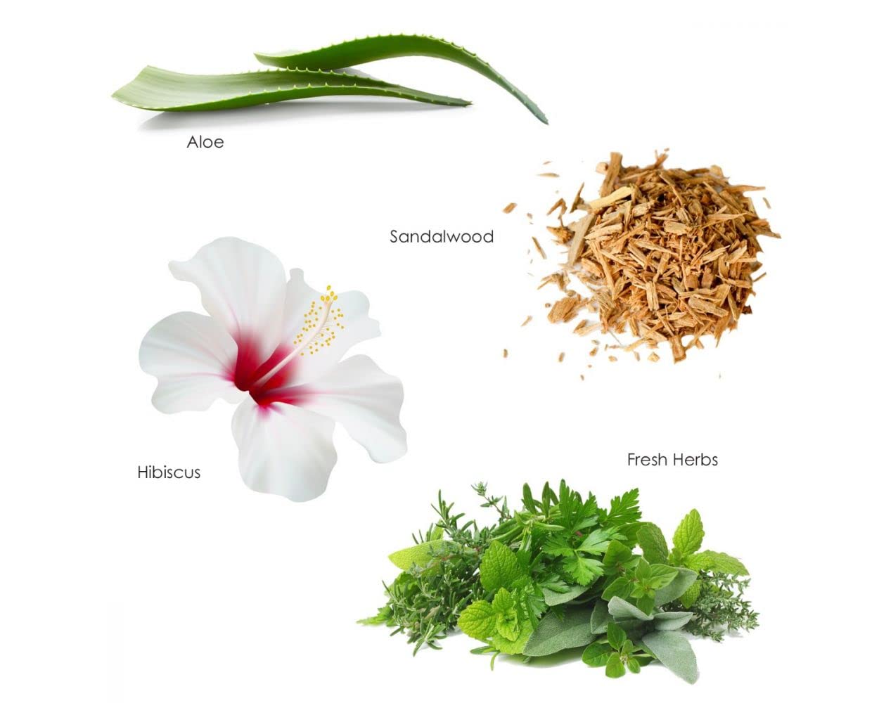 Gilchrist & Soames Zero% fleurs hibiscus jasmin rose; parfum floral premium.