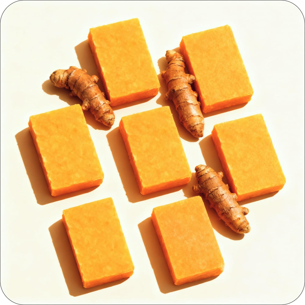 Glo Melanin-ingredientes-naturales-curcuma: fórmula con cúrcuma y extractos naturales.
