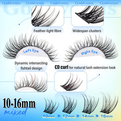 Aplicacion favorecedora universal para cualquier forma de ojo con Goddvenus