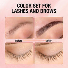 GOLLEE kit color pestañas cejas: aplicadores profesionales incluidos.