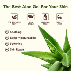 Green Leaf Naturals hojas aloe vera recién cortadas para mayor pureza