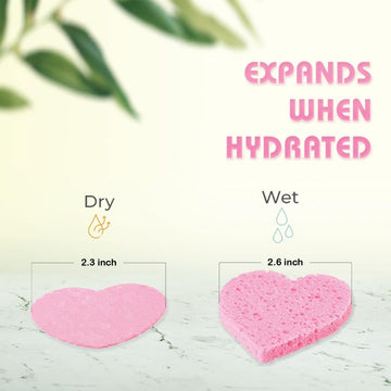 GreenBoll esponja para remover maquillaje, diseño compacto para uso diario.
