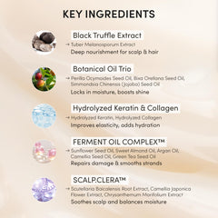 HAARAZ Pack de 5 sobres para cabello de diferentes longitudes