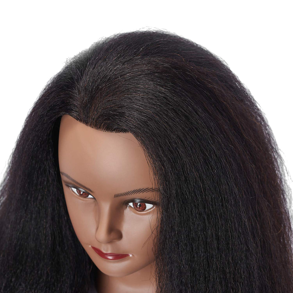 Hairlink cabeza con cabello real desinfectado lista para uso en clase.