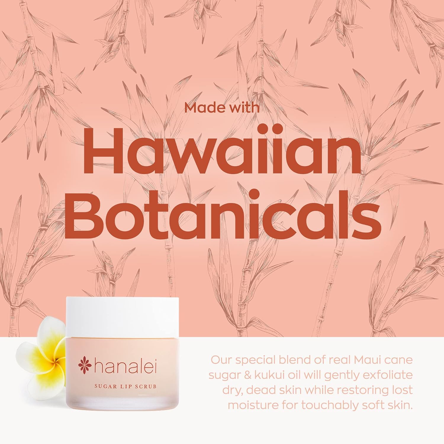 Hanalei labios con brillo suave y aspecto saludable.