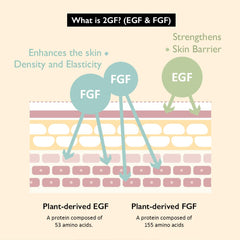 HARUHARU Wonder 2GF: tecnología patentada para mejor absorción y uso eficiente.